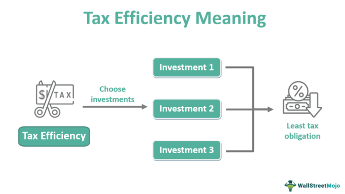 Tax efficient placement fund strategy bogleheads funds criticisms slide5 example